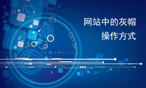 seo优化网站怎么优化_网站优化　seo优化_网站的优化